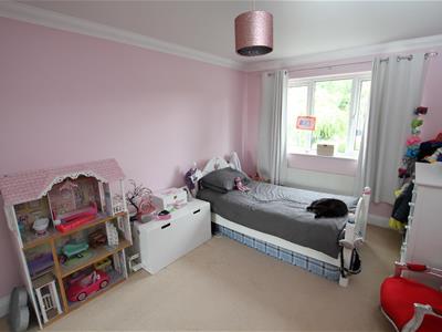 Picture 28